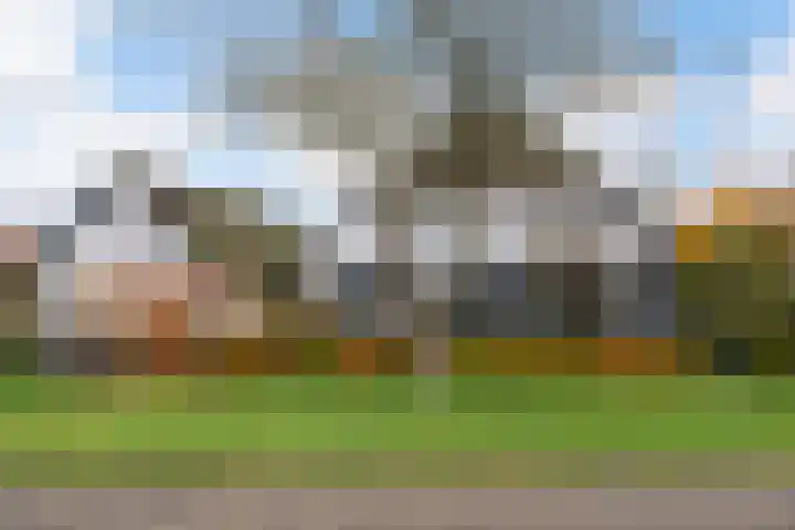 Willem Moesweg 25 Veeningen thumbnail 45