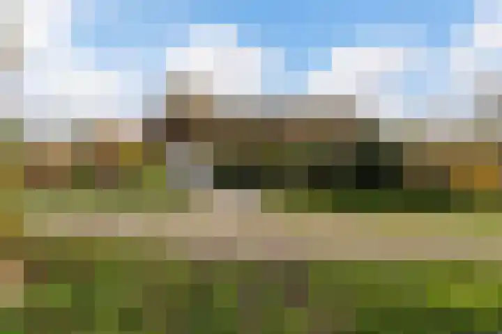 Willem Moesweg 25 Veeningen thumbnail 46