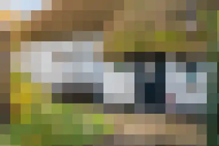 Willem Moesweg 25 Veeningen thumbnail 47