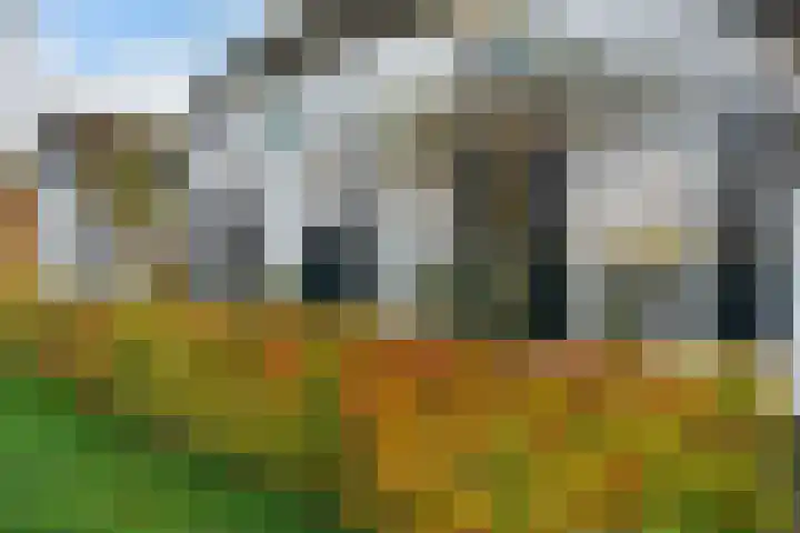 Willem Moesweg 25 Veeningen thumbnail 48
