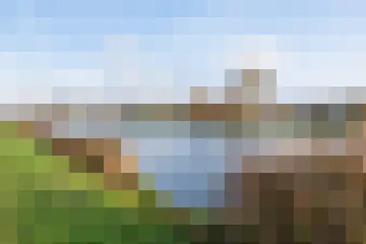 Willem Moesweg 25 Veeningen thumbnail 50
