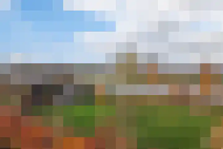 Willem Moesweg 25 Veeningen thumbnail 51