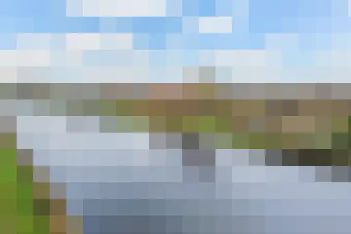 Willem Moesweg 25 Veeningen thumbnail 52
