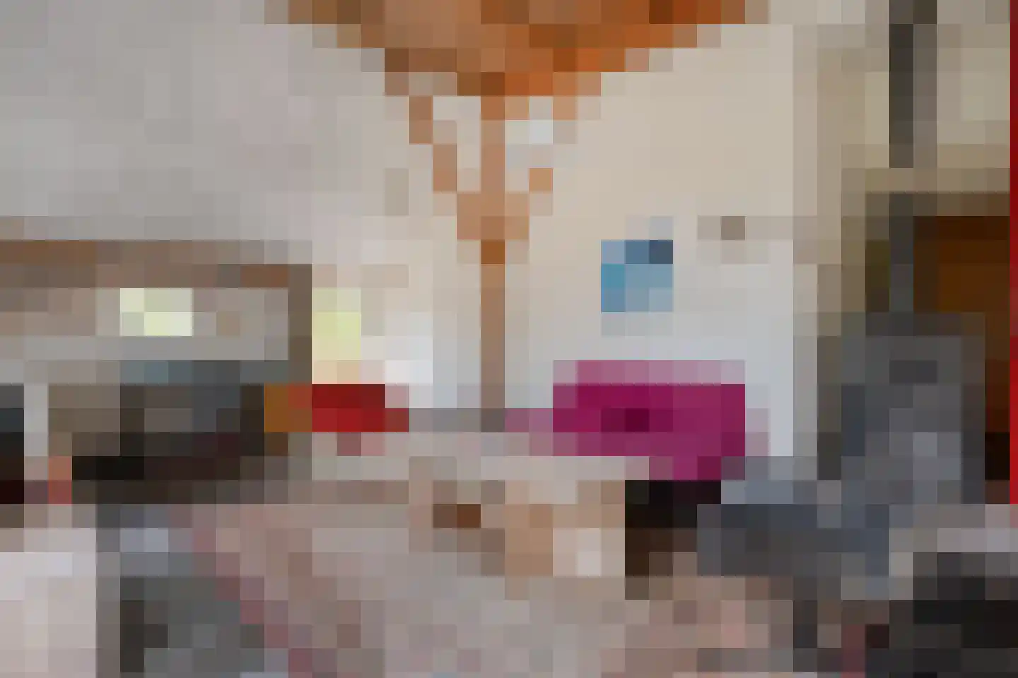 Willem Moesweg 6 Veeningen thumbnail 17