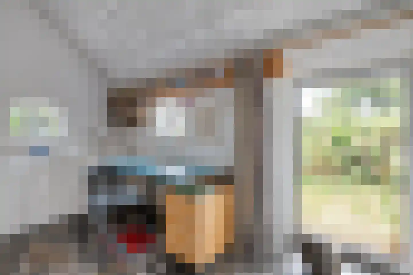 Willem Moesweg 6 Veeningen thumbnail 20