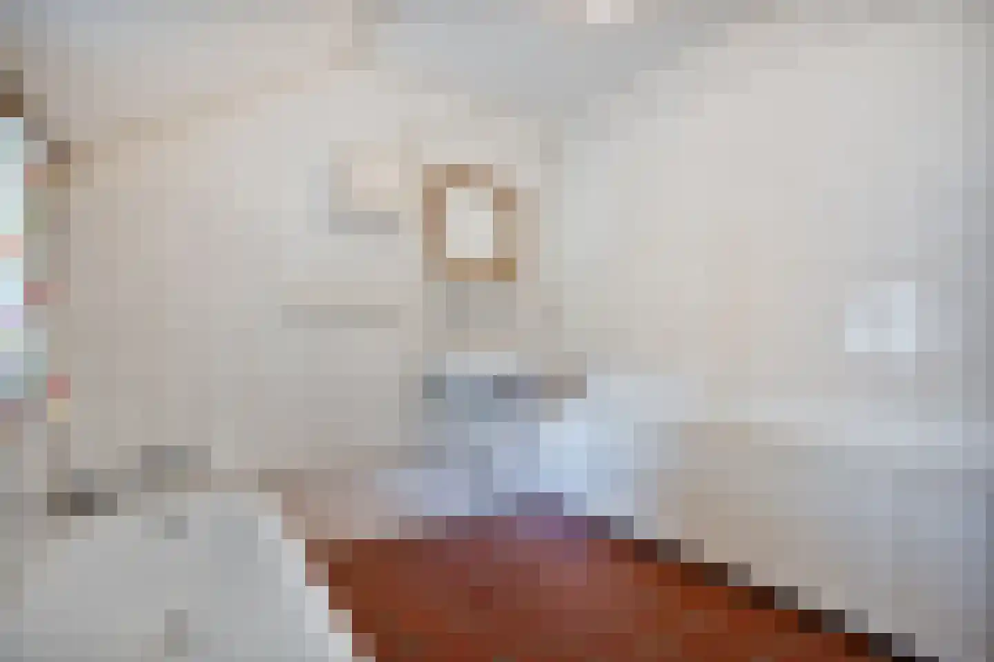 Willem Moesweg 6 Veeningen thumbnail 33