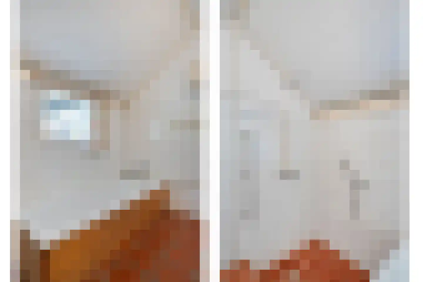 Willem Moesweg 6 Veeningen thumbnail 34
