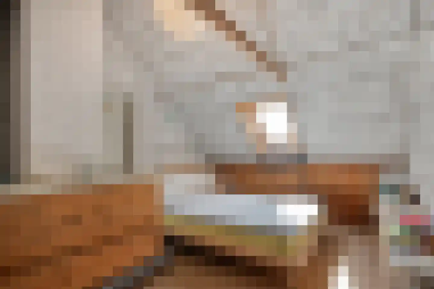 Willem Moesweg 6 Veeningen thumbnail 39
