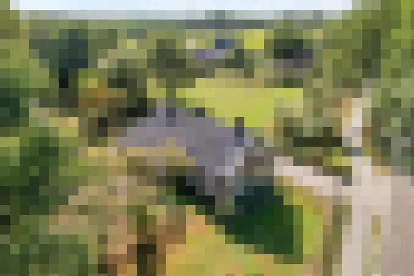 Willem Moesweg 6 Veeningen thumbnail 4