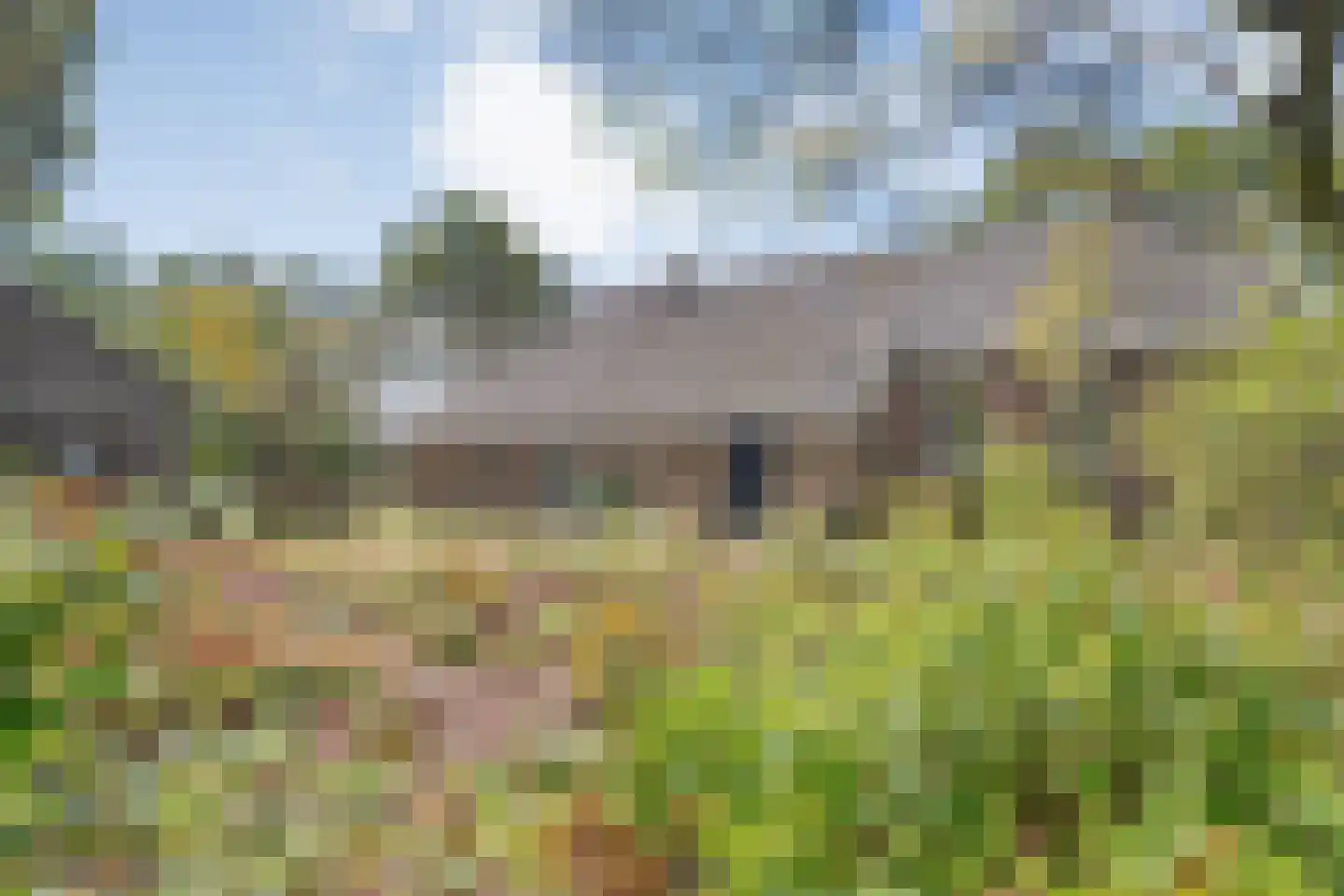 Willem Moesweg 6 Veeningen thumbnail 45