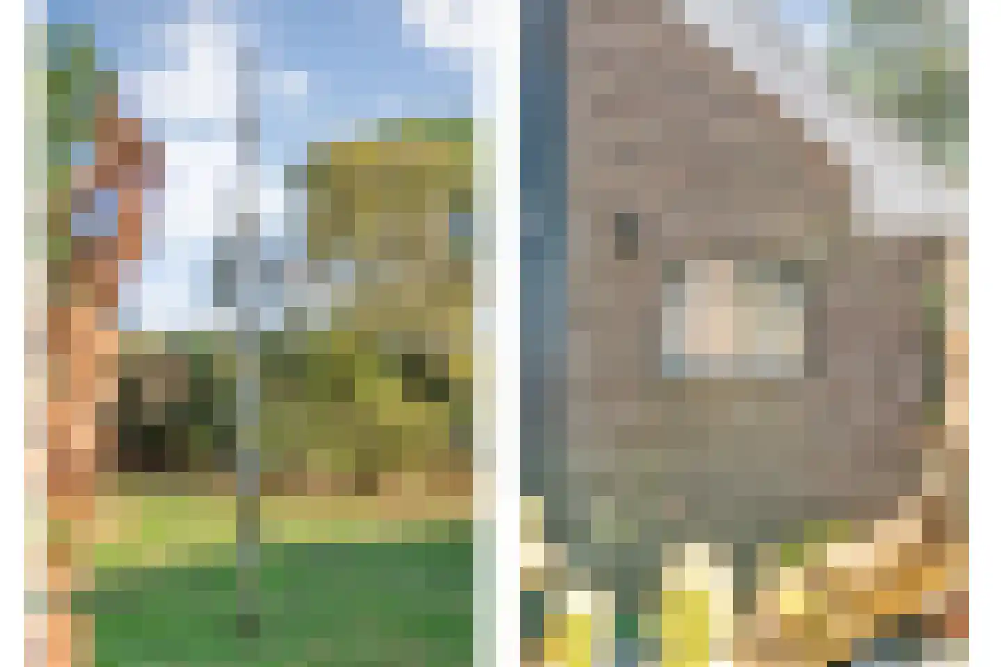 Willem Moesweg 6 Veeningen thumbnail 46