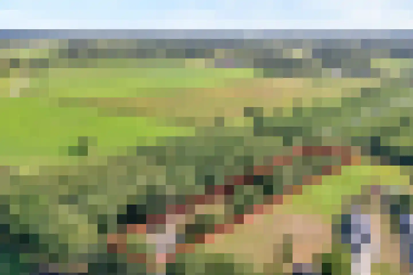 Willem Moesweg 6 Veeningen thumbnail 5