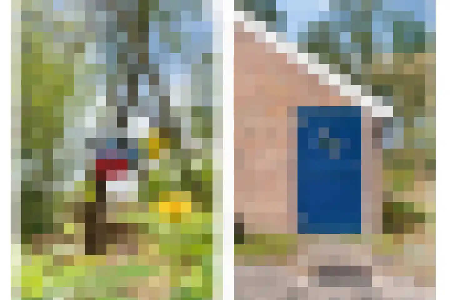 Willem Moesweg 6 Veeningen thumbnail 50