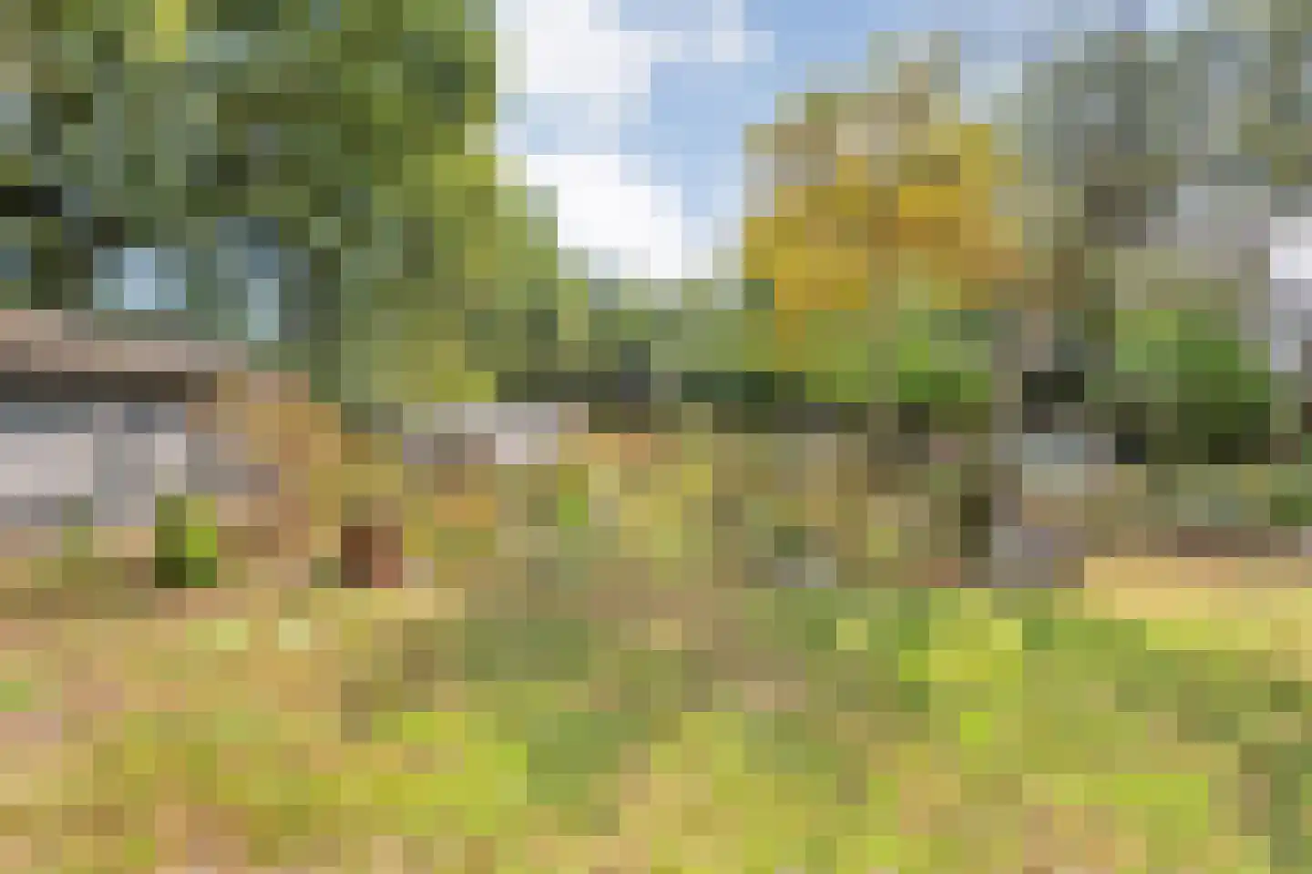 Willem Moesweg 6 Veeningen thumbnail 51