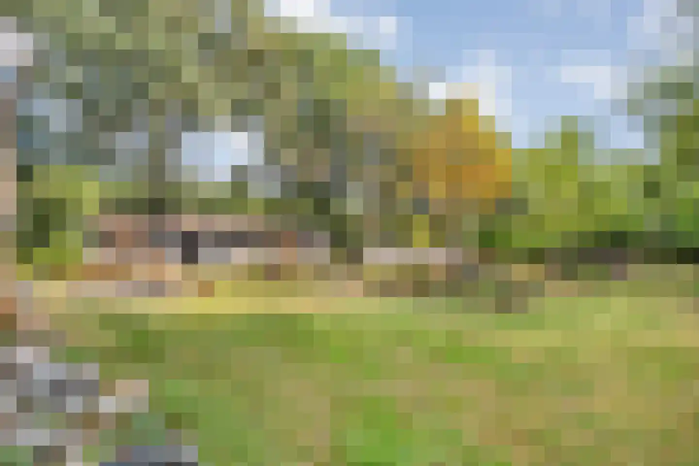 Willem Moesweg 6 Veeningen thumbnail 52