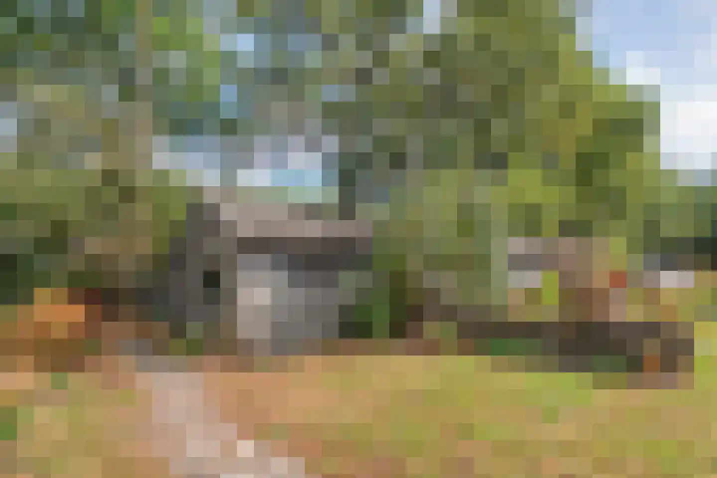 Willem Moesweg 6 Veeningen thumbnail 53