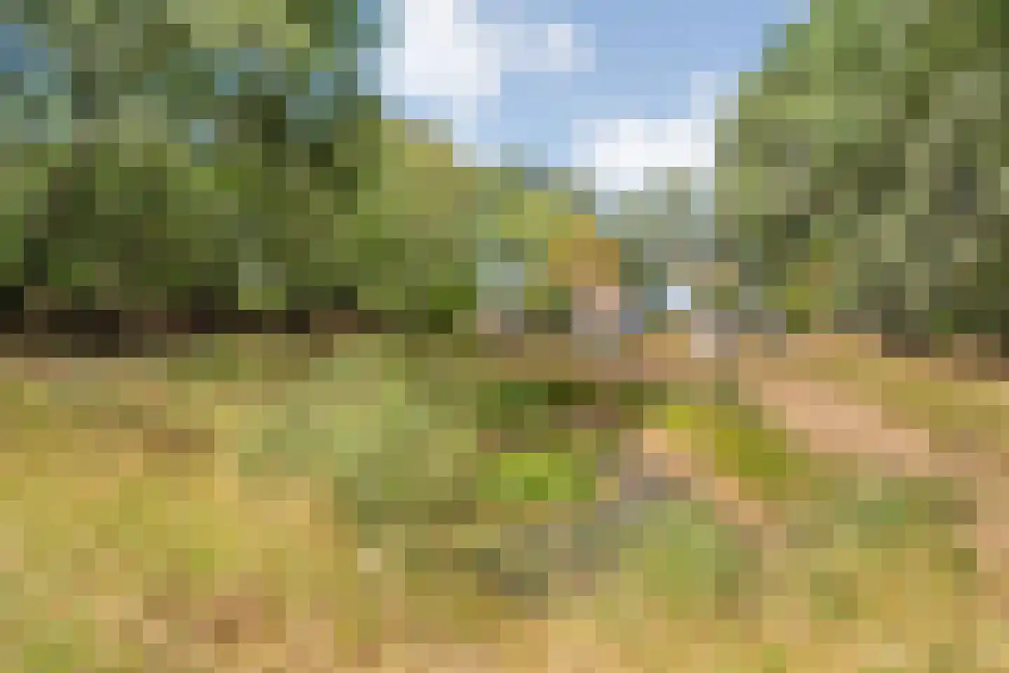 Willem Moesweg 6 Veeningen thumbnail 55