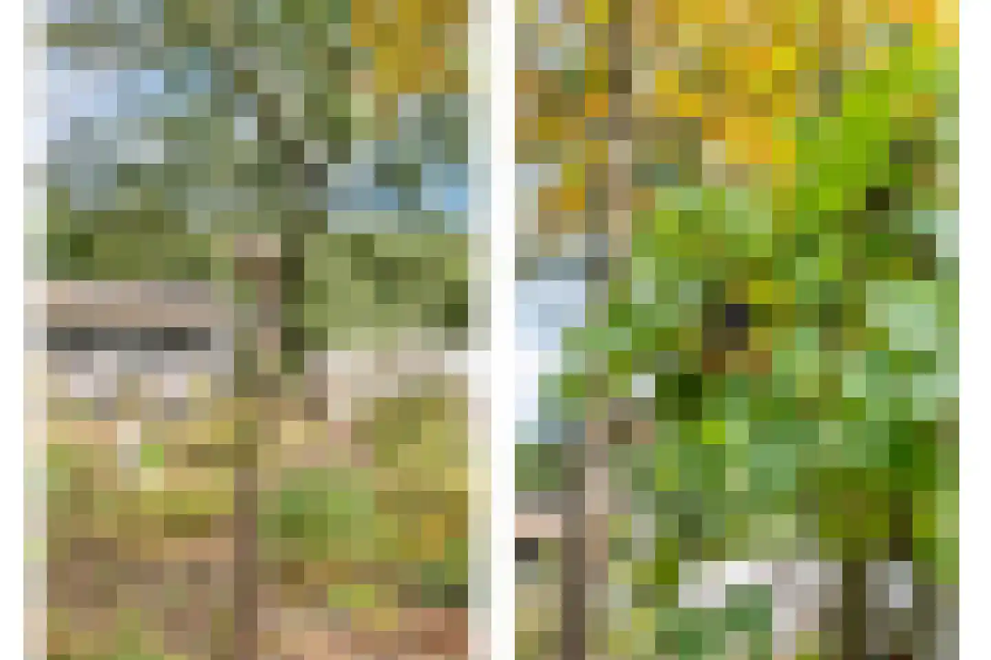 Willem Moesweg 6 Veeningen thumbnail 57