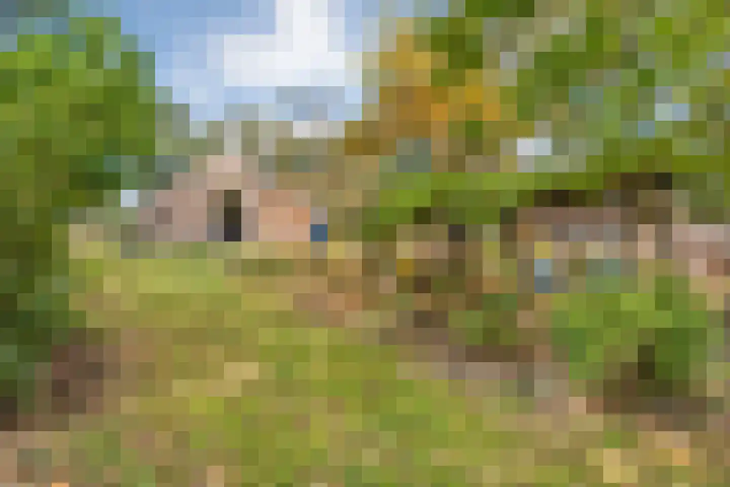 Willem Moesweg 6 Veeningen thumbnail 58