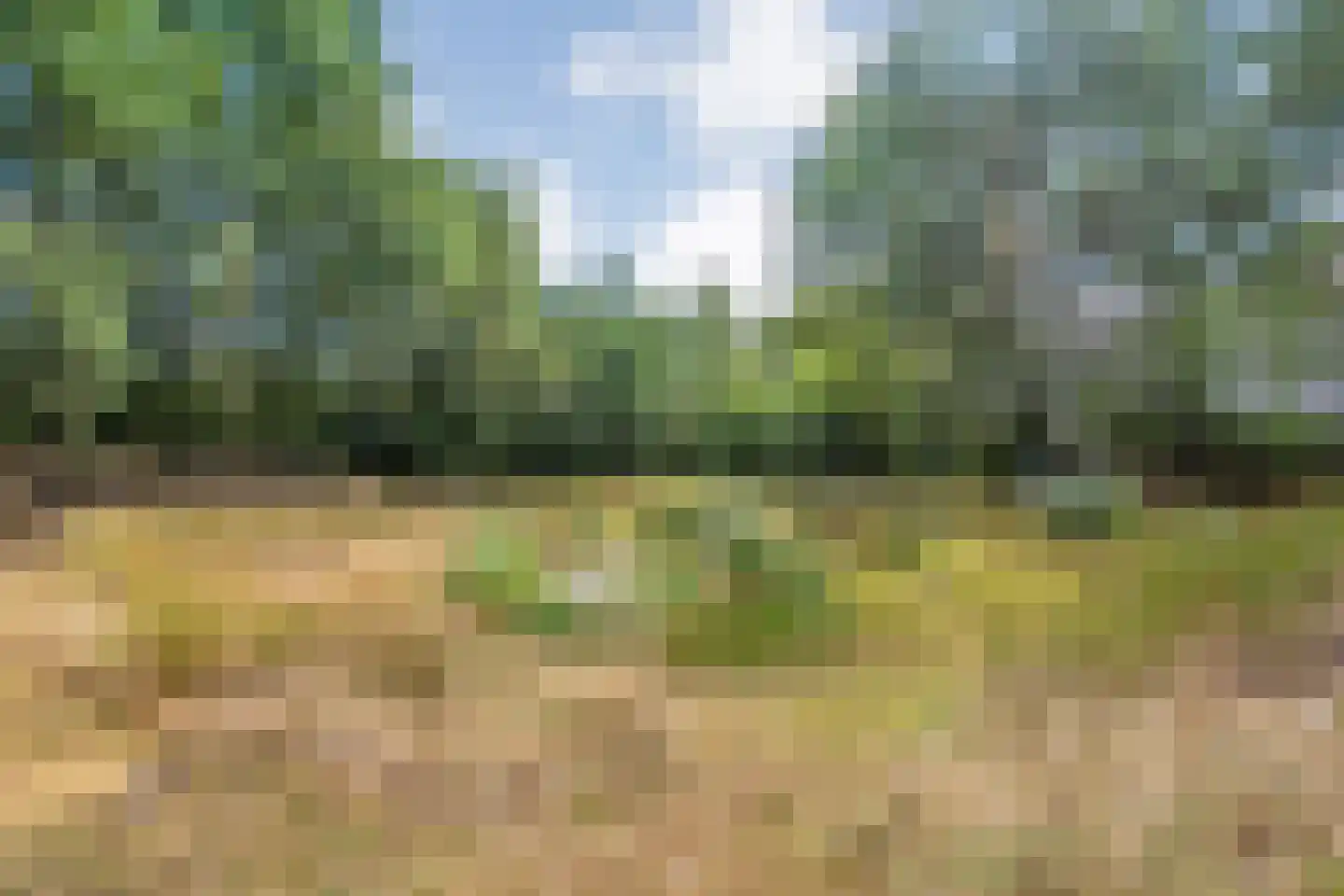 Willem Moesweg 6 Veeningen thumbnail 6
