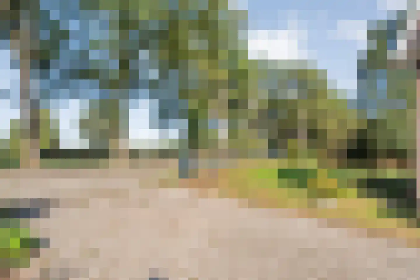 Willem Moesweg 6 Veeningen thumbnail 64