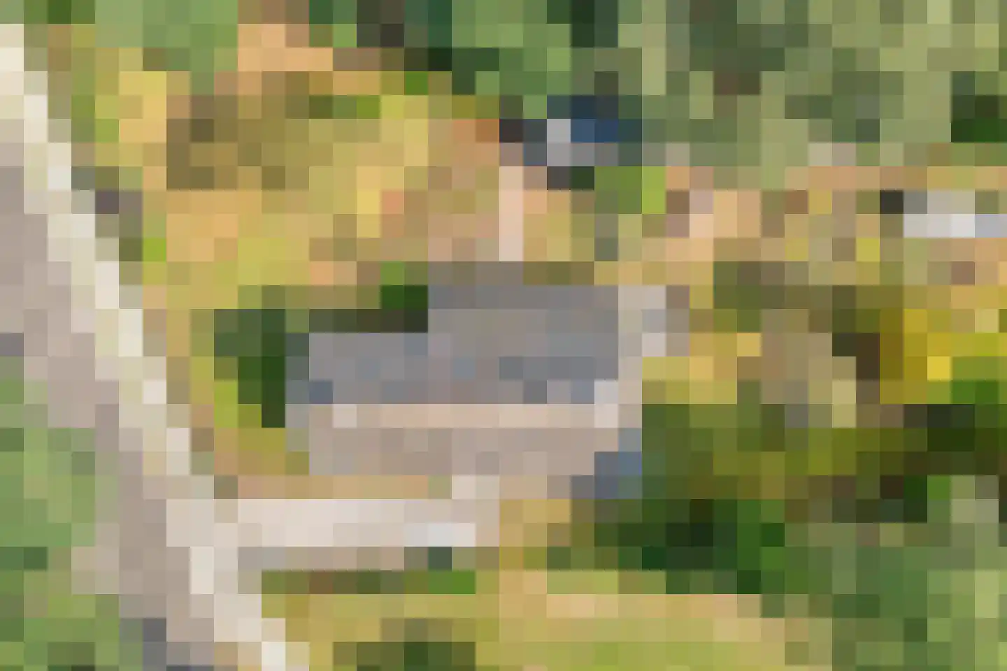 Willem Moesweg 6 Veeningen thumbnail 66