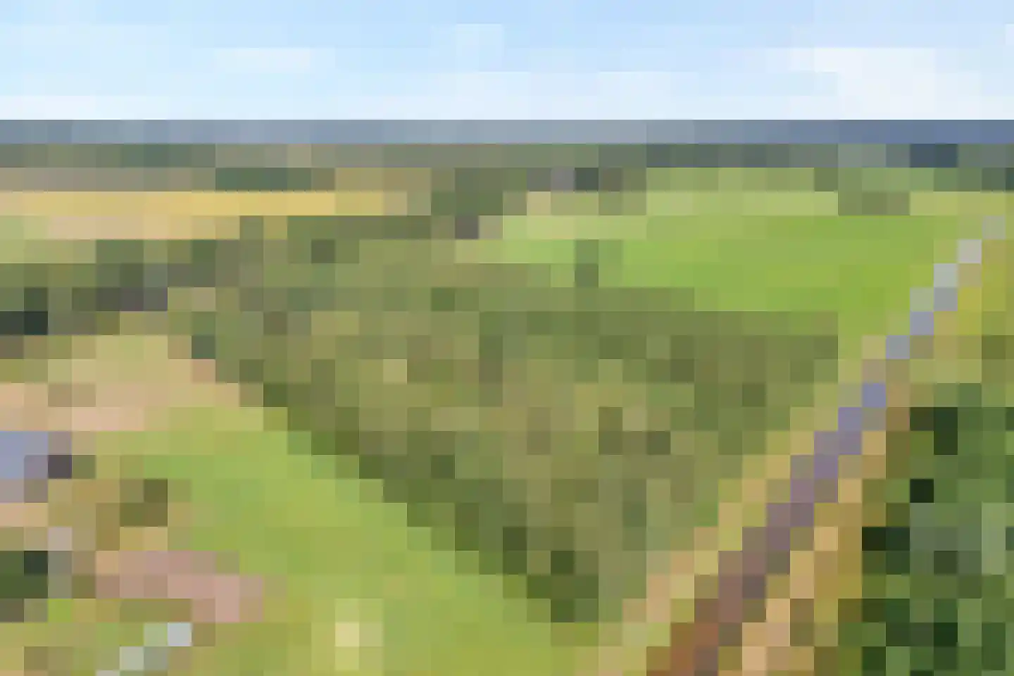 Willem Moesweg 6 Veeningen thumbnail 68