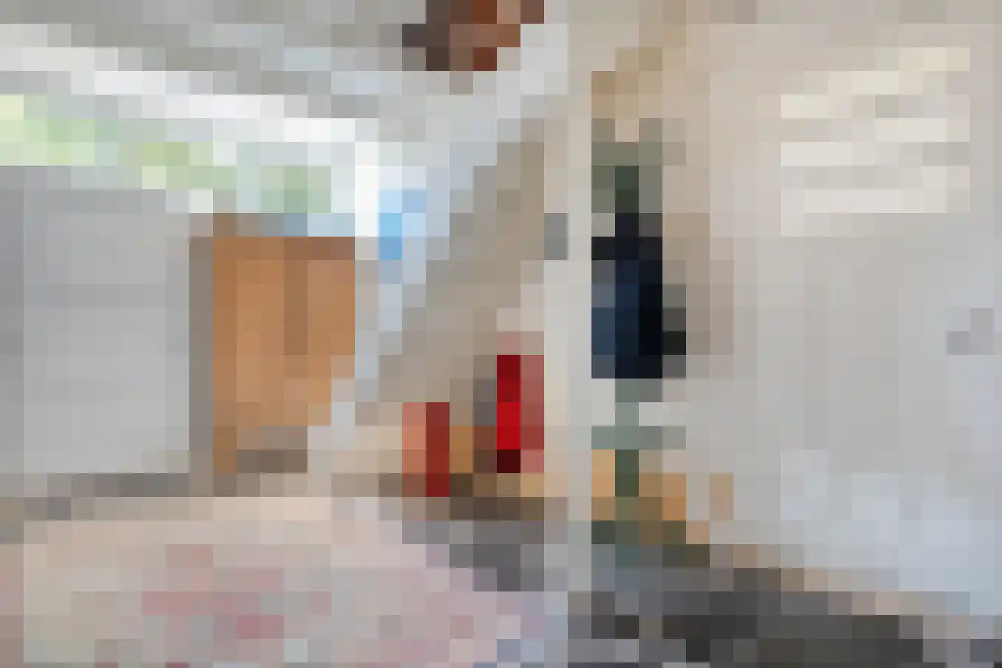 Willem Moesweg 6 Veeningen thumbnail 9