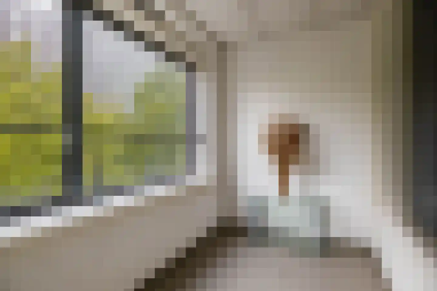 Willem Molenbroekplein 19 Rotterdam thumbnail 27