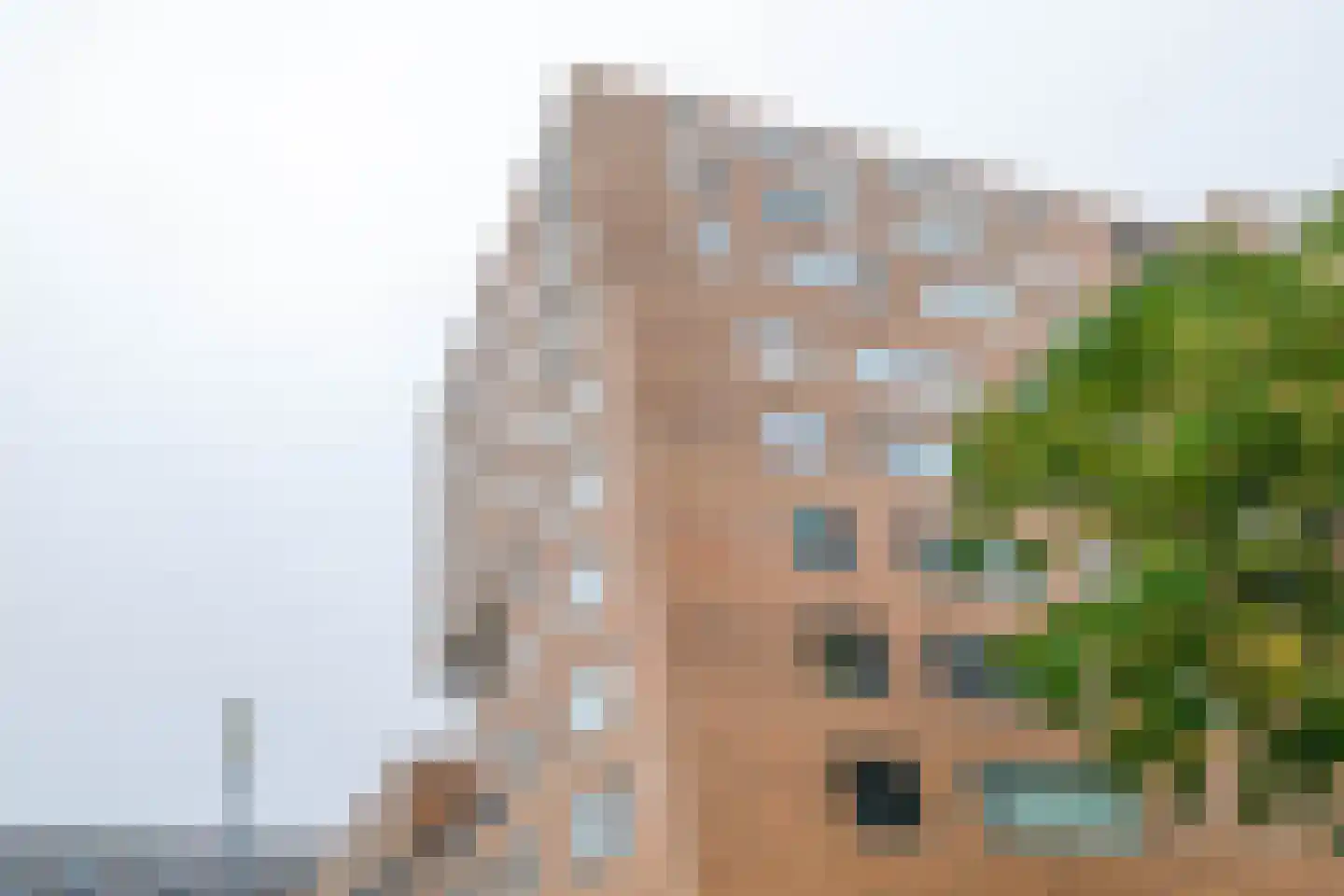 Willem Molenbroekplein 19 Rotterdam thumbnail 8