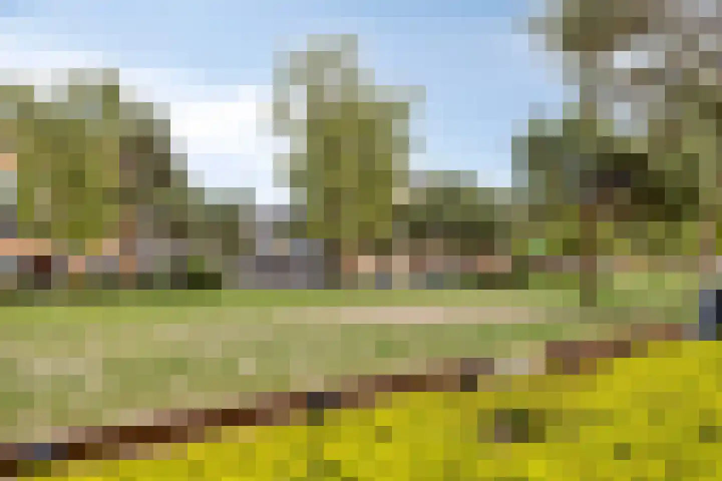 Willem Molenbroekplein 7 Rotterdam thumbnail 34