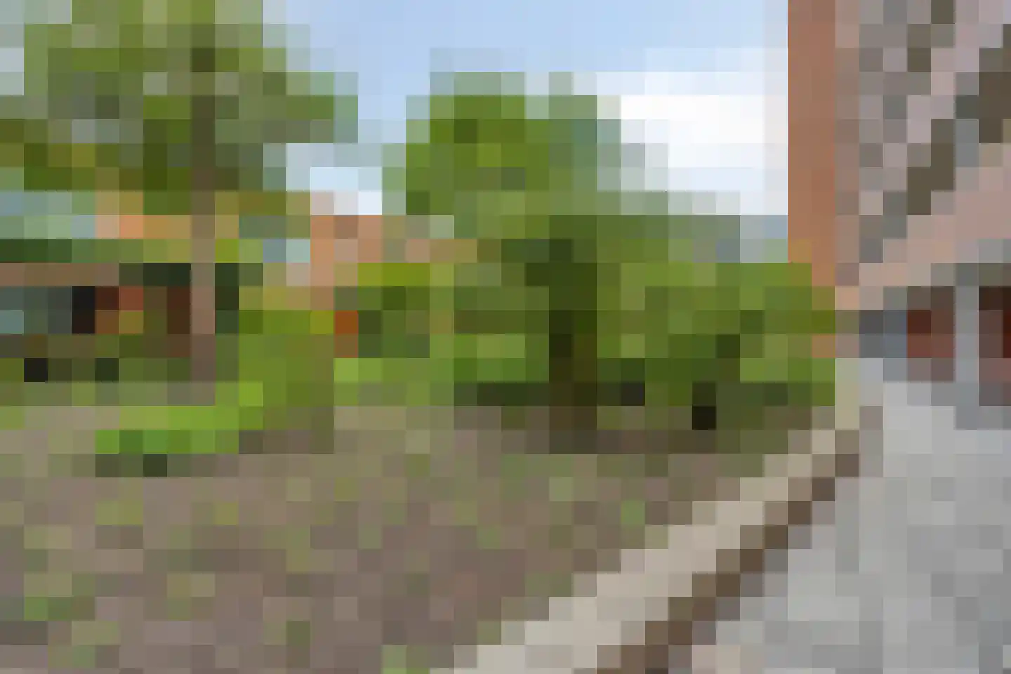 Willem Molenbroekplein 7 Rotterdam thumbnail 4