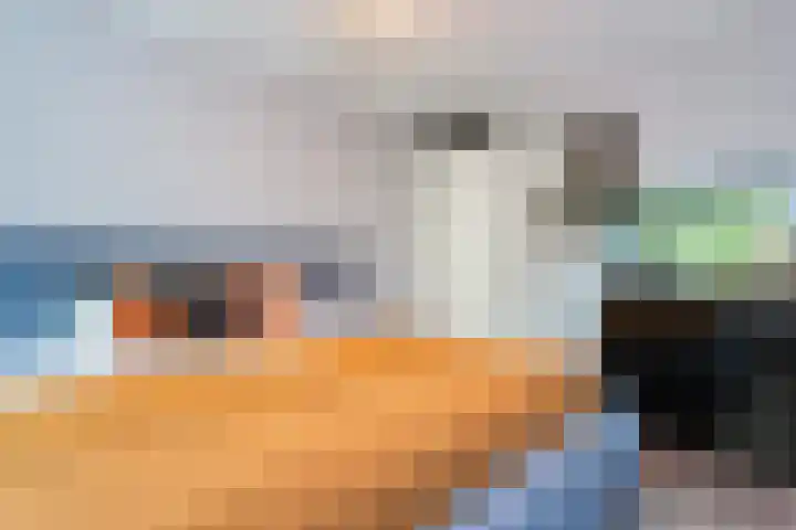 Willem Molenbroekplein 9 Rotterdam thumbnail 11