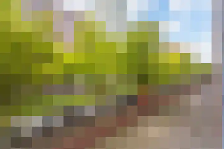 Willem Molenbroekplein 9 Rotterdam thumbnail 18