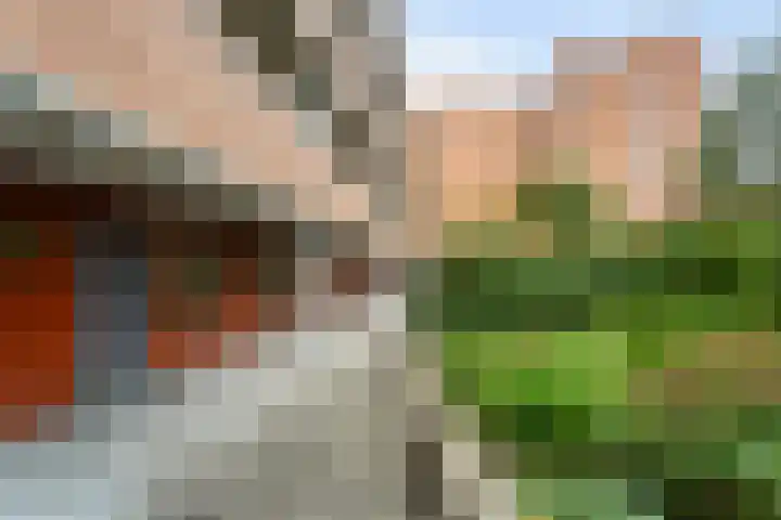 Willem Molenbroekplein 9 Rotterdam thumbnail 19