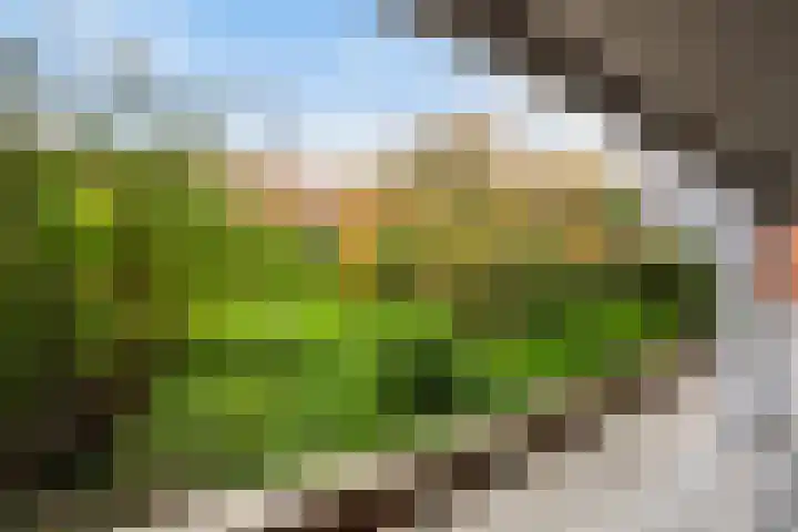 Willem Molenbroekplein 9 Rotterdam thumbnail 20