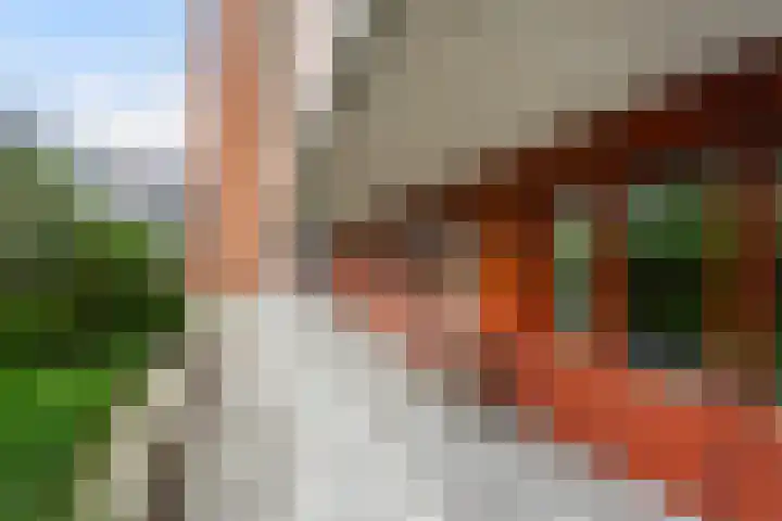 Willem Molenbroekplein 9 Rotterdam thumbnail 4
