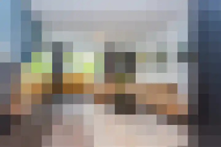 Willem Molenbroekplein 9 Rotterdam thumbnail 5
