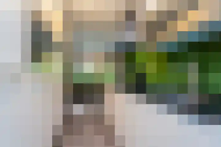 Willem Molenbroekplein 9 Rotterdam thumbnail 7