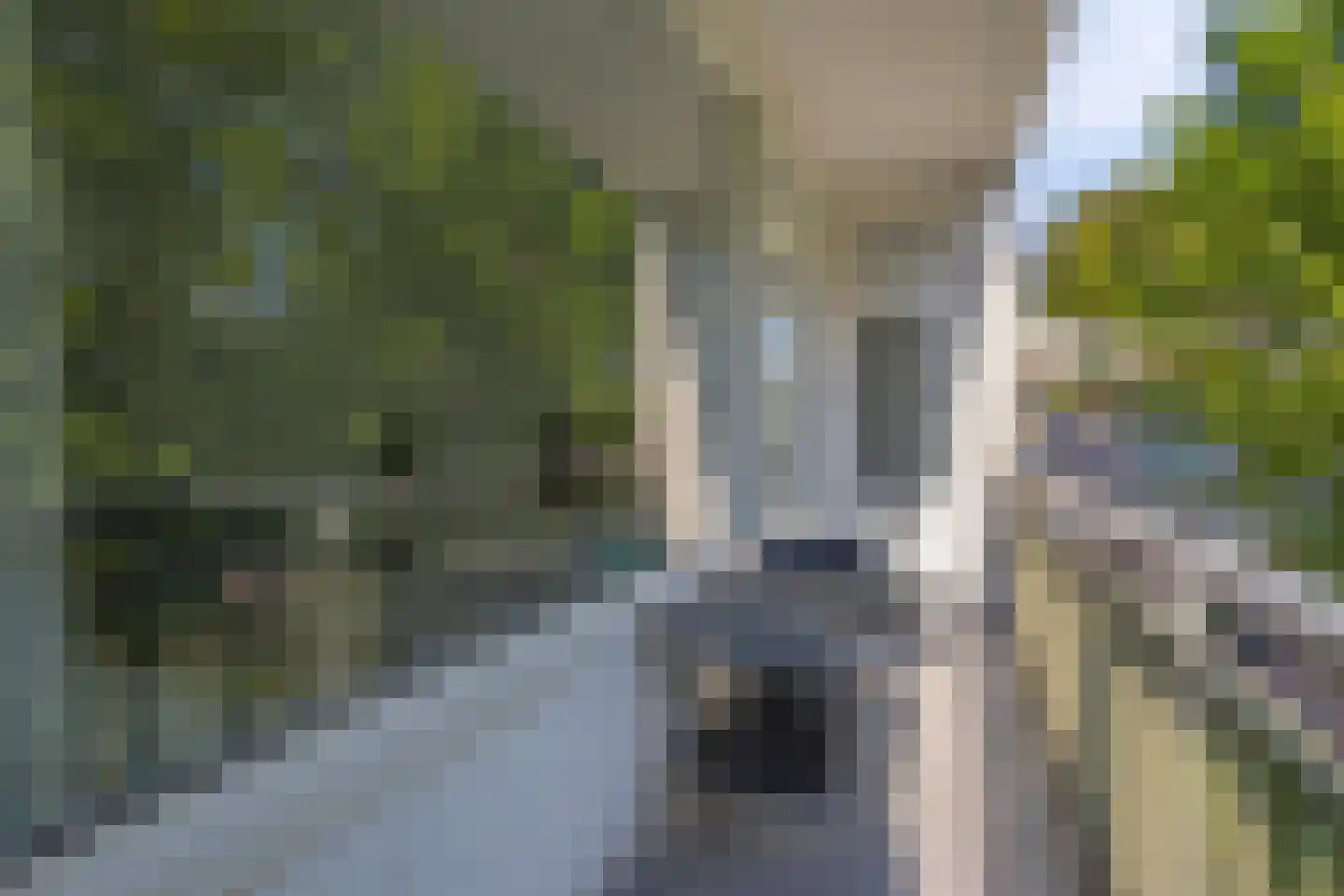 Willem Molengraaffstraat 2 2 Amsterdam thumbnail 7
