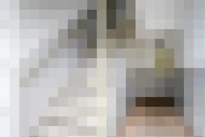 Willem Molengraaffstraat 20 3 Amsterdam thumbnail 12