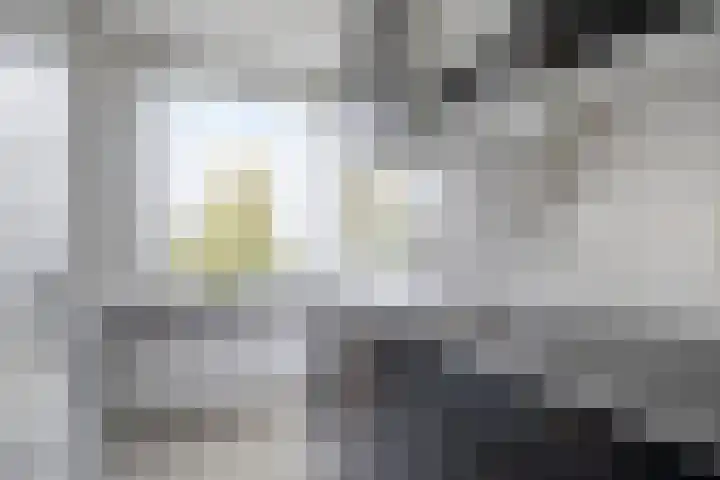 Willem Molengraaffstraat 20 3 Amsterdam thumbnail 6
