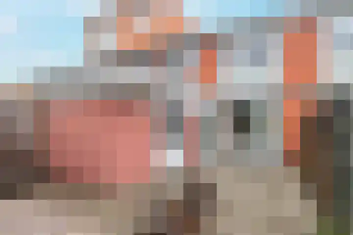 Willem Mulierhof 13 Amsterdam thumbnail 15