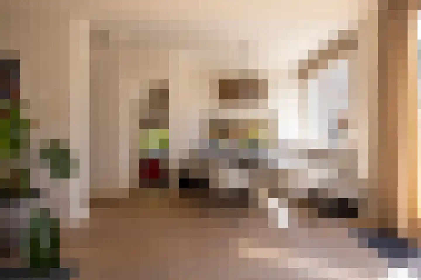 Willem Nagellaan 1 Rotterdam thumbnail 13