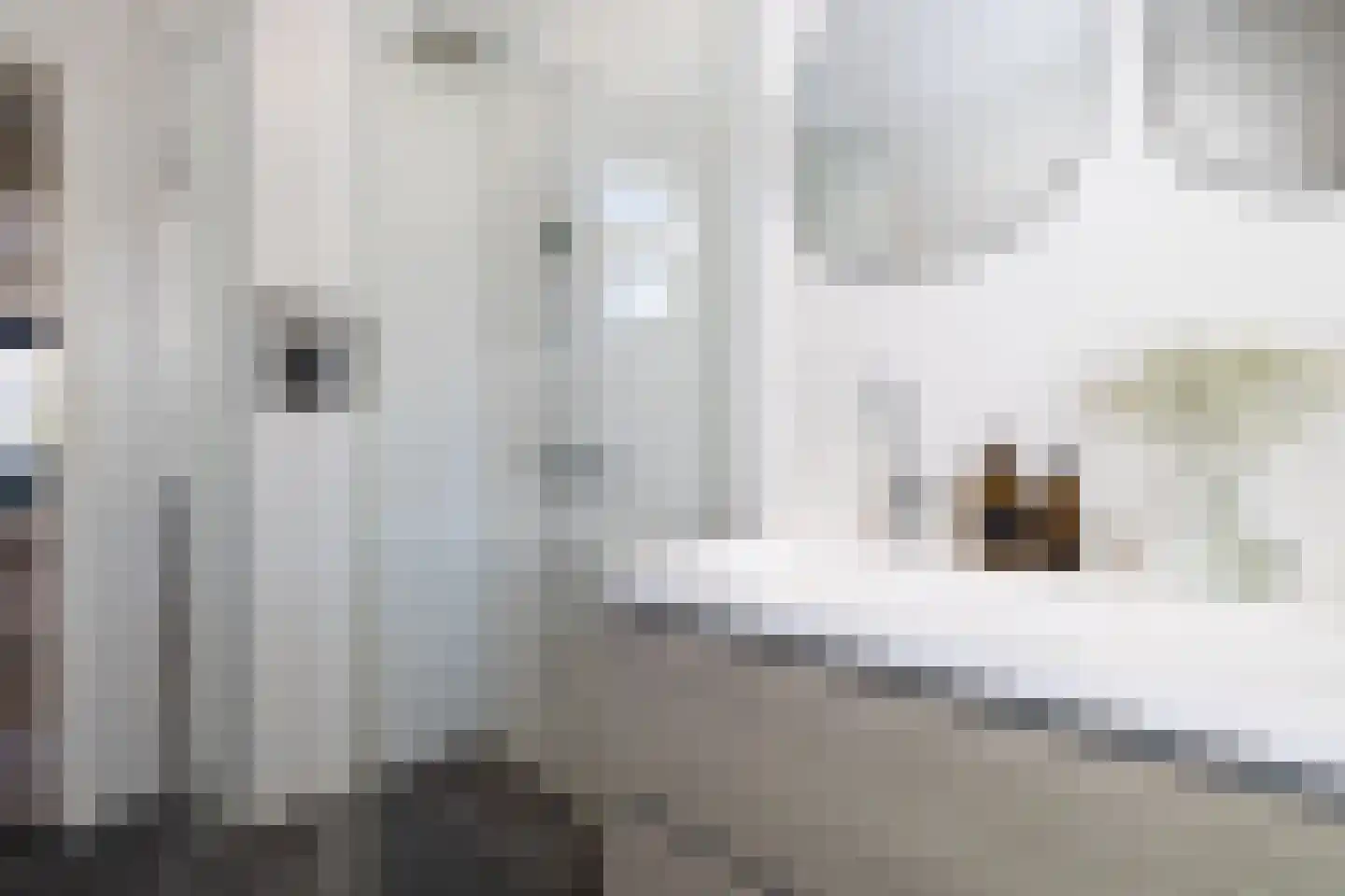Willem Nagellaan 1 Rotterdam thumbnail 35