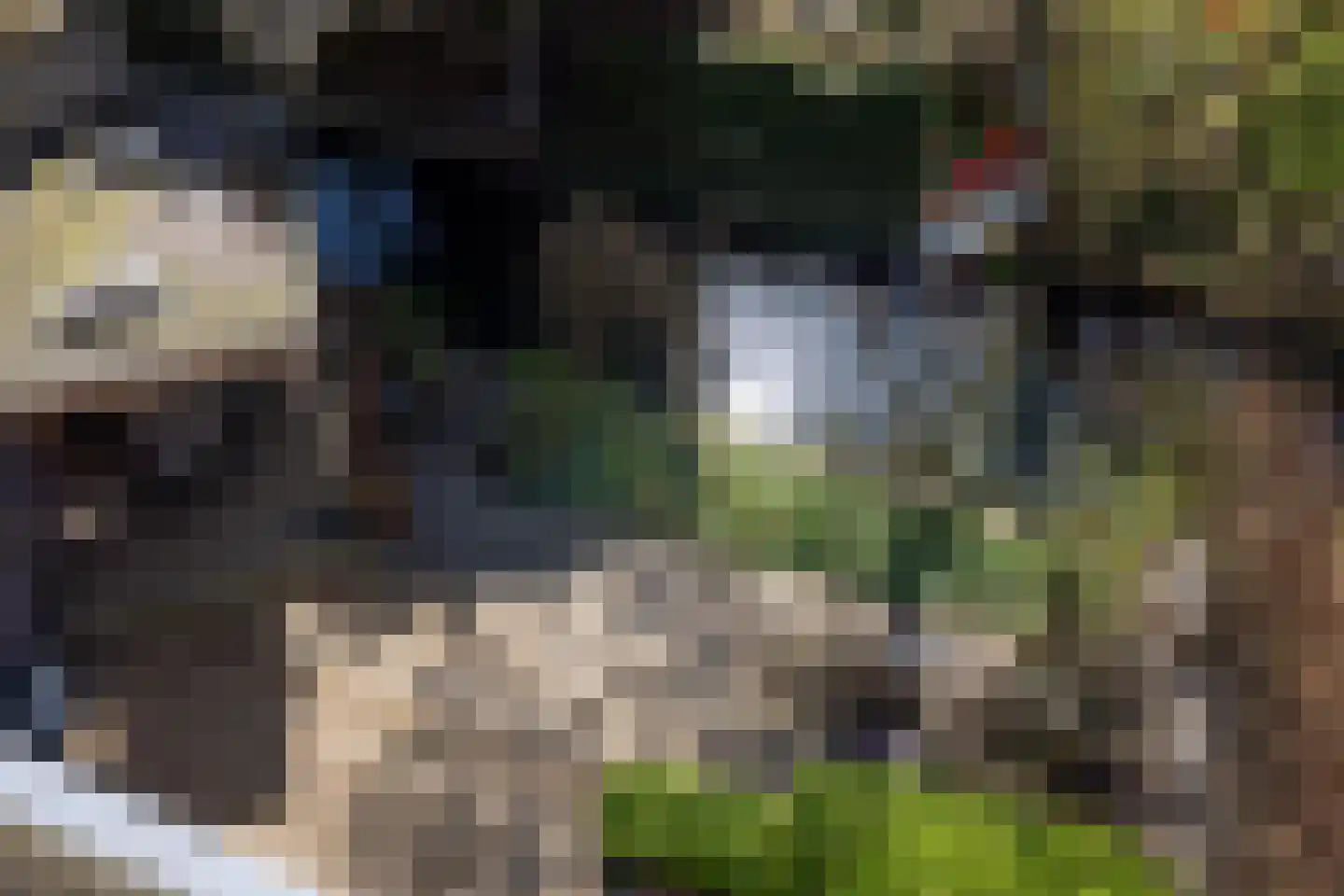 Willem Nagellaan 1 Rotterdam thumbnail 37