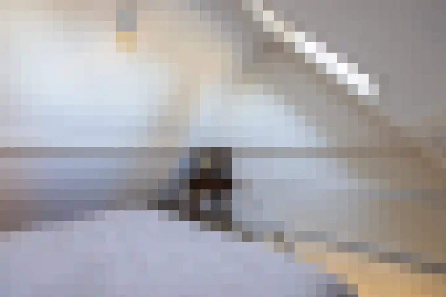 Willem Nagellaan 1 Rotterdam thumbnail 46