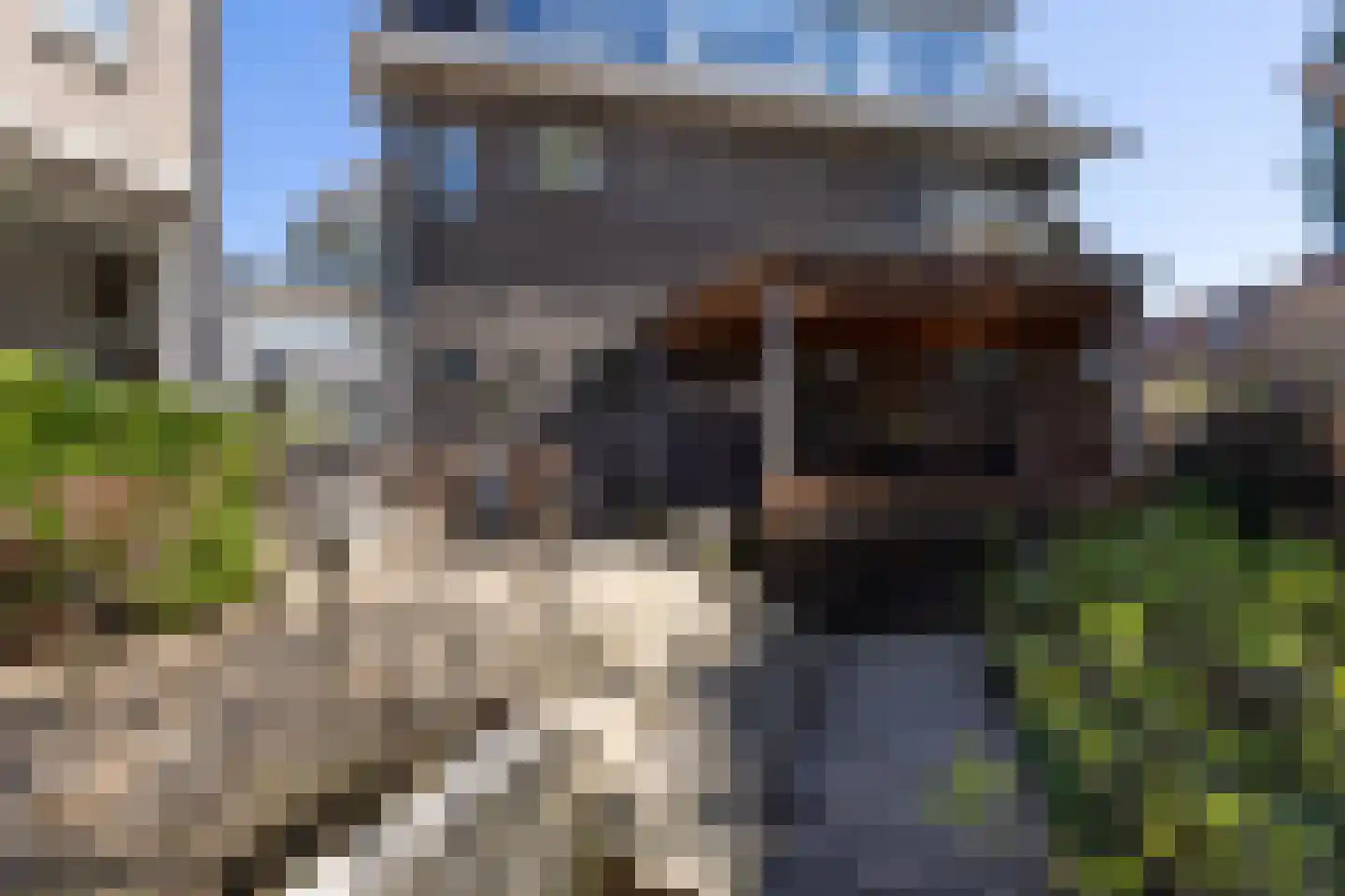 Willem Nagellaan 1 Rotterdam thumbnail 49