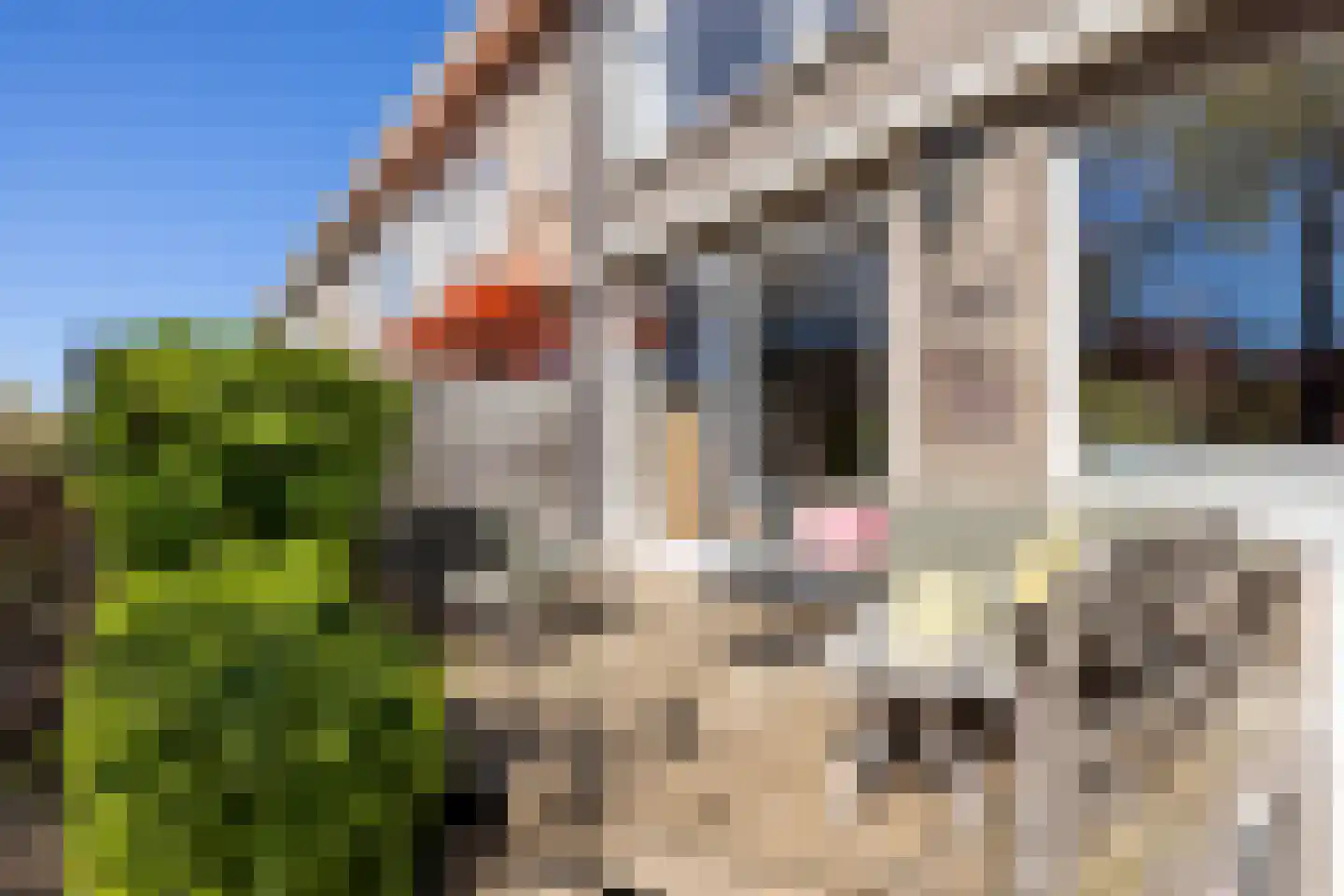 Willem Nagellaan 1 Rotterdam thumbnail 53