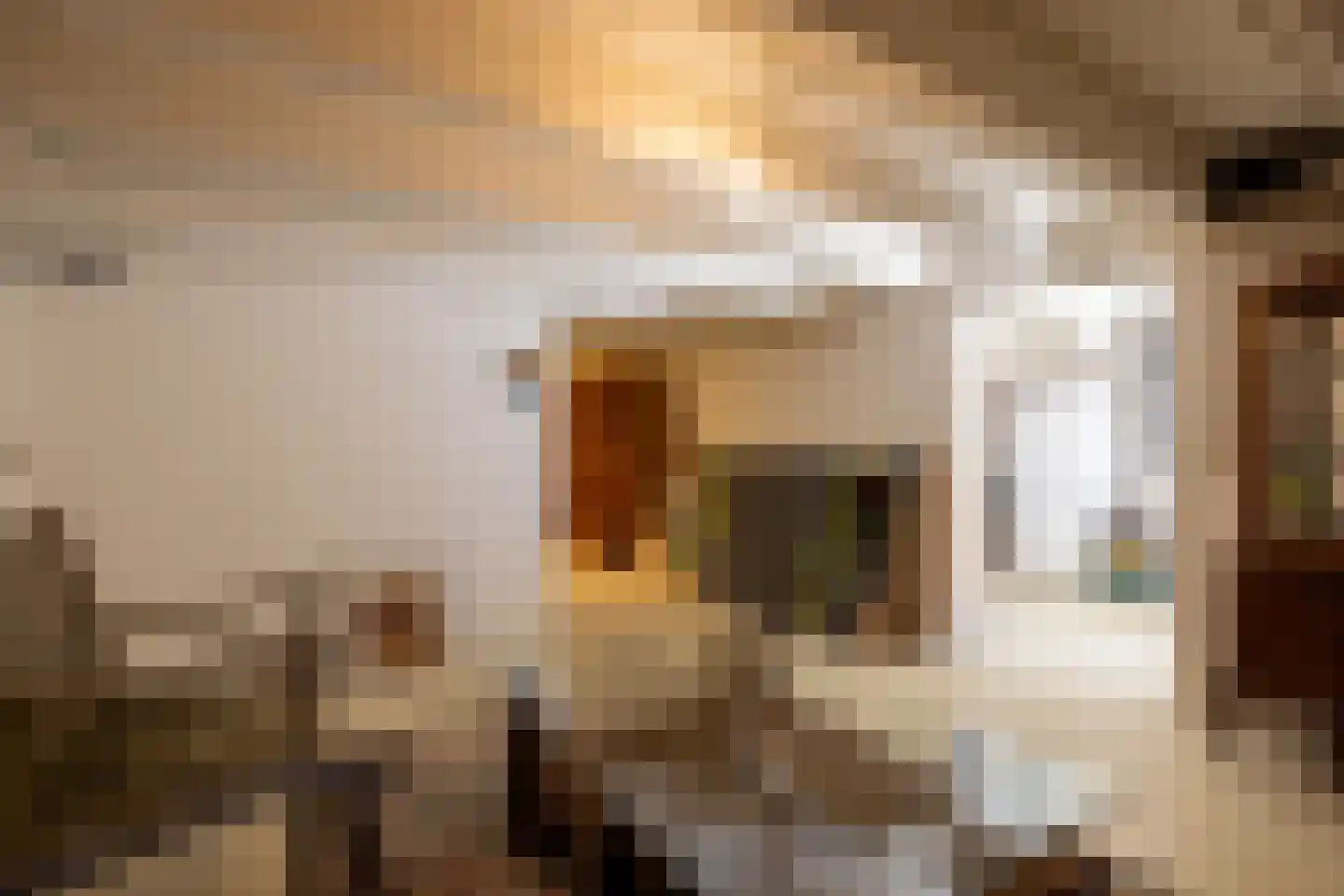 Willem Nagellaan 1 Rotterdam thumbnail 58